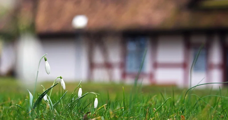 Spring checklist: after the thaw, before the heat