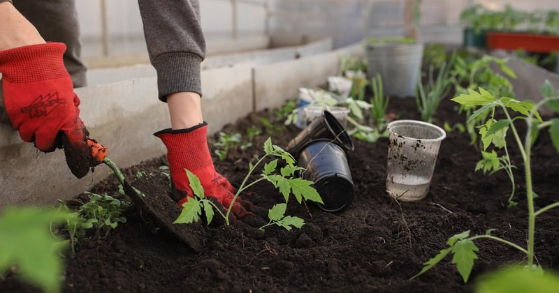 How to Design a Vegetable Garden in Small Spaces: 15 Clever Ideas